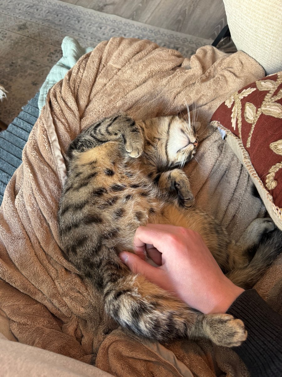 slow daze (@slowdaysfast) on Twitter photo 