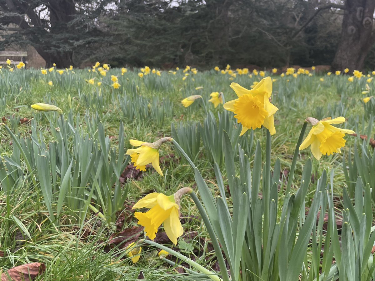 Rodger Caseby💙 tweet media