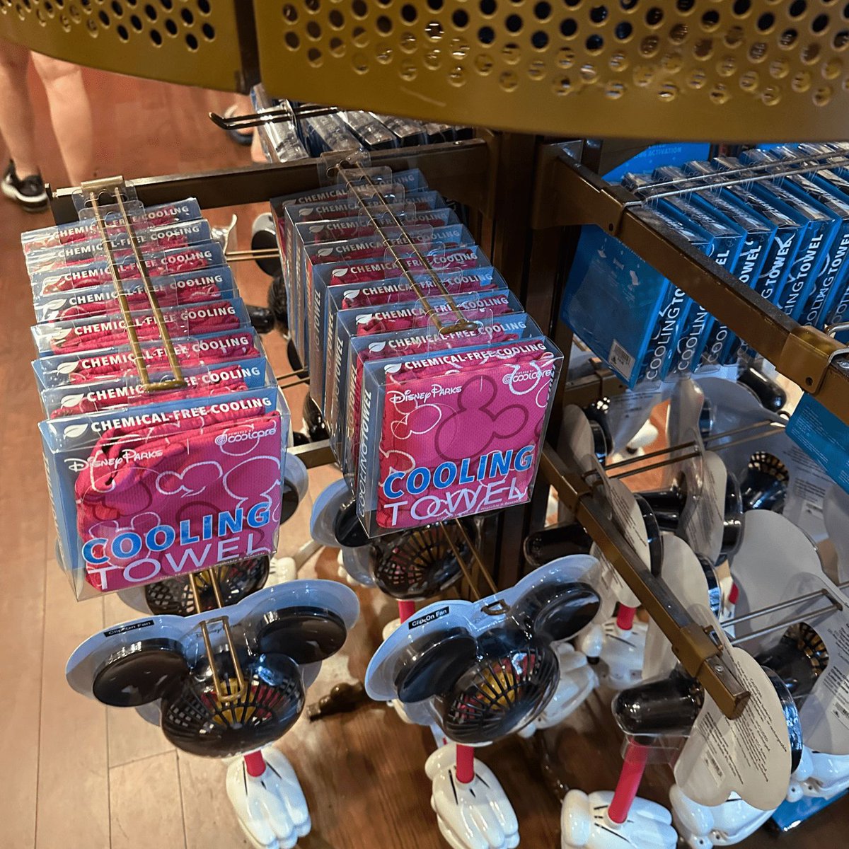 Don't let the Florida sun melt your Disney dreams! This blog post is filled with tips to conquer the heat &amp; still have a magical vacation! devinefairytale.com/beat-the-heat-…