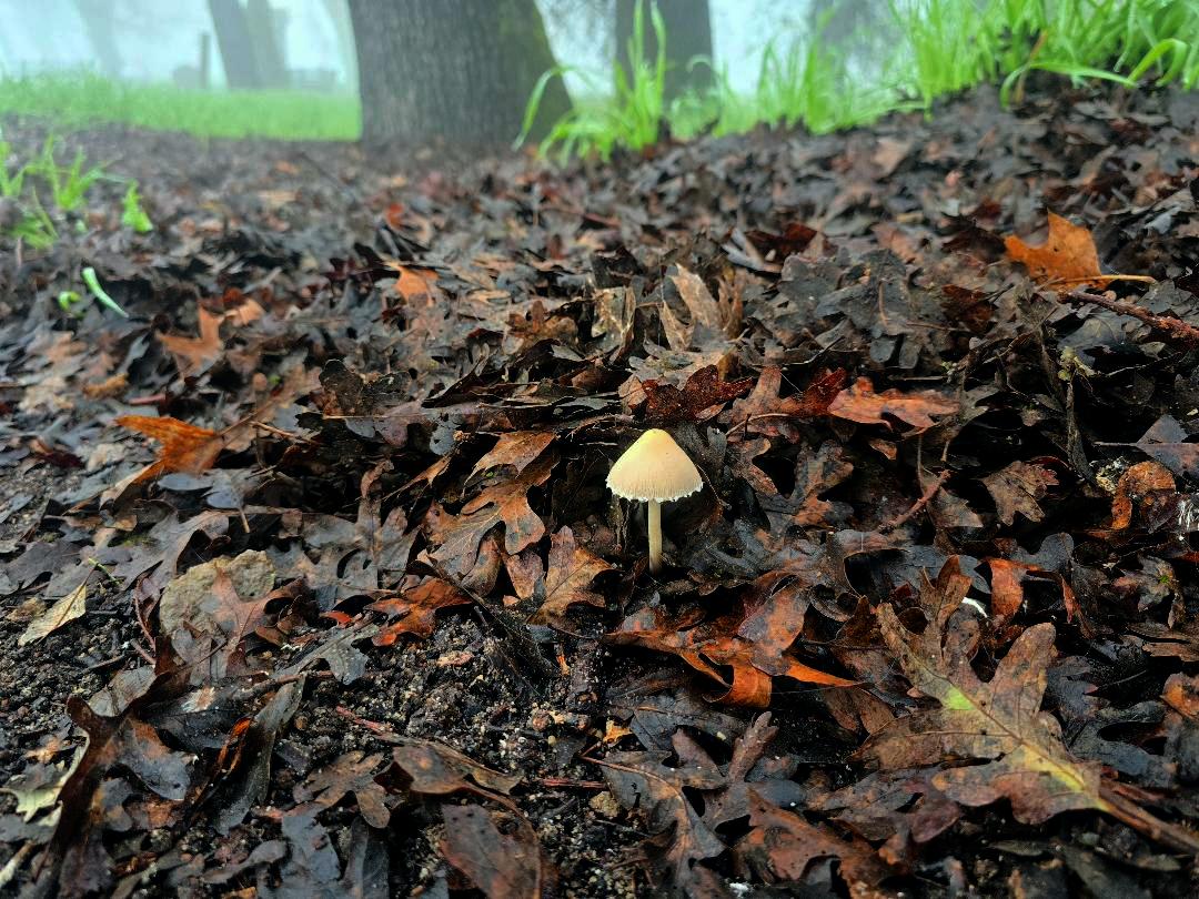 ruff_n_redE's tweet image. 