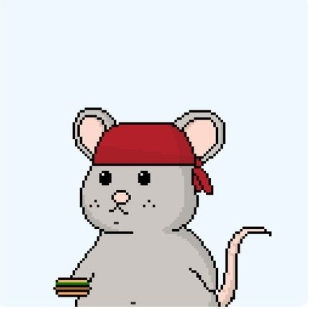 I won pizza pals on @reskulis discord. Thanks @native_algo #AlgorandNFT  #NFT #Web3Tech #Cripto #crypto