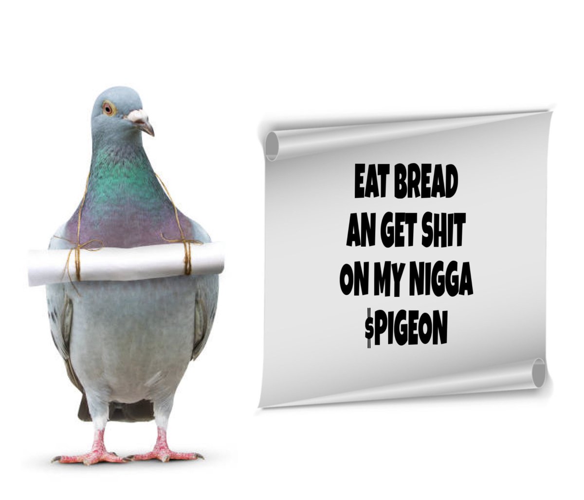 ピータさん tweet media