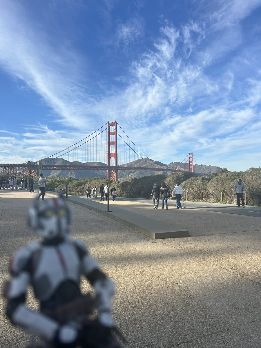 Ciri 🪻 tweet media