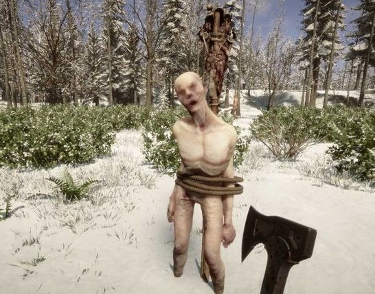 nebruno se ha puesto muy raro así que lo hemos sacado fuera y amarrado a un poste a ver si con el fresquito se tranquilizaba pero no hay manera