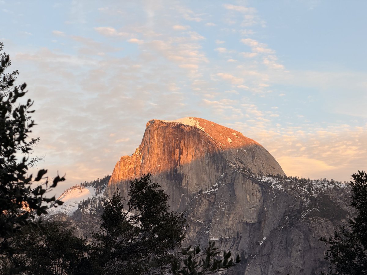 Ally Bell tweet media