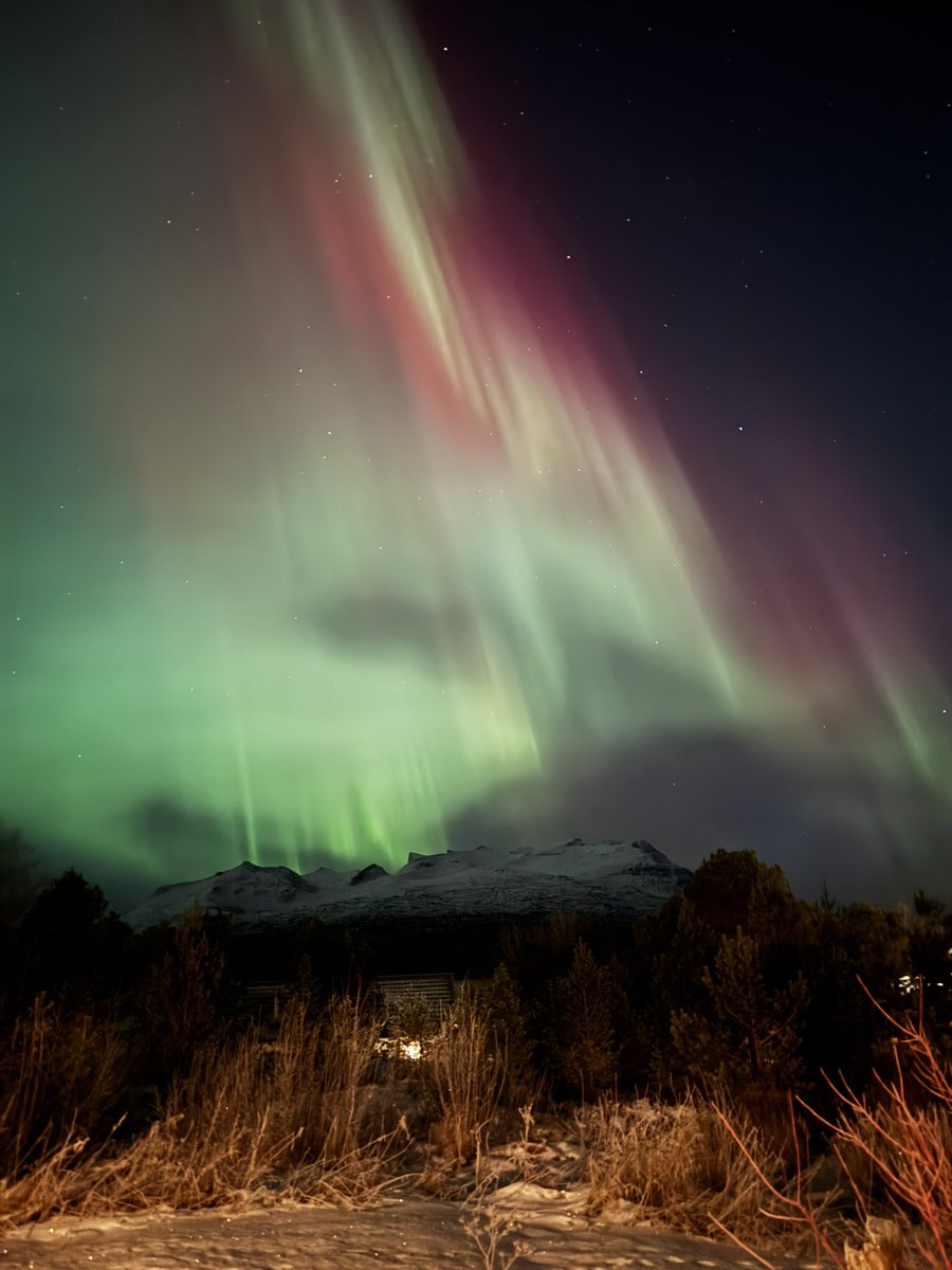 norwara_nirvana's tweet image. ต้องขนาดนี้เลยหรอคะคุรพรี้ ดิฉันแค่ออกมาทิ้งขยะหน้าบ้านเอง 💚❤️✨🇳🇴 รีบวิ่งเข้าบ้านไปหยิบทอสับแทบไม่ทัร 😍