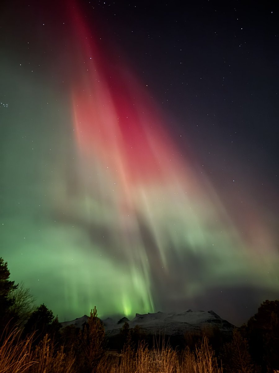 norwara_nirvana's tweet image. ต้องขนาดนี้เลยหรอคะคุรพรี้ ดิฉันแค่ออกมาทิ้งขยะหน้าบ้านเอง 💚❤️✨🇳🇴 รีบวิ่งเข้าบ้านไปหยิบทอสับแทบไม่ทัร 😍