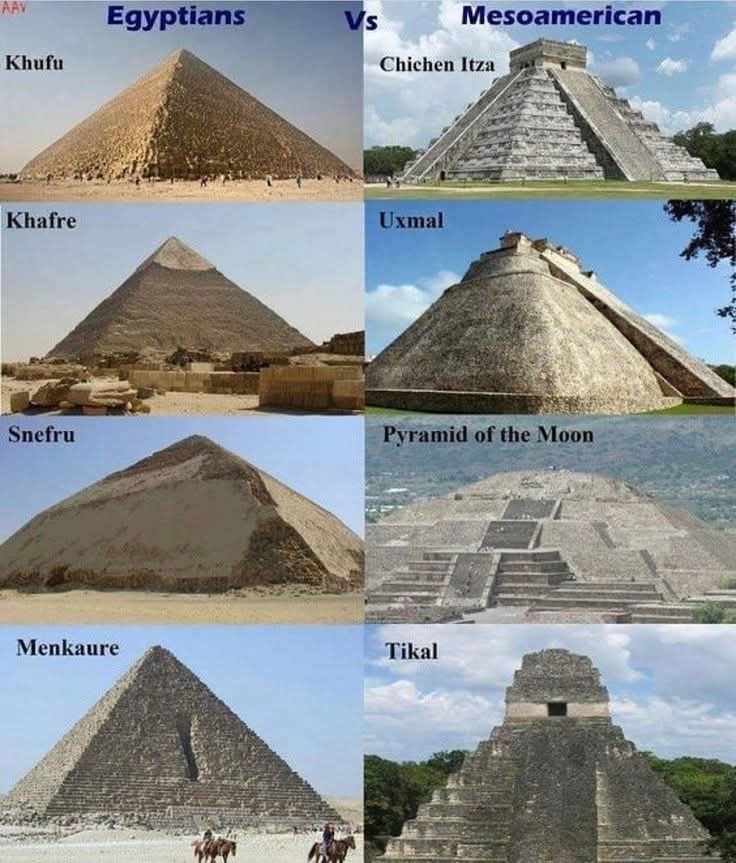 Forgotten History tweet media