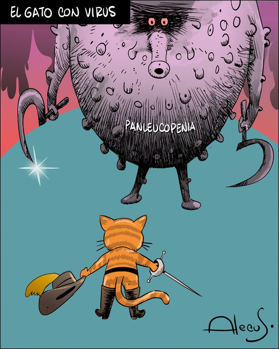 Alecus62's tweet image. 