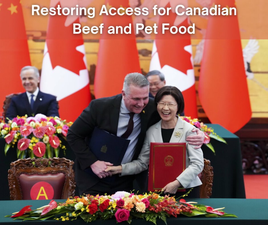 Heath MacDonald tweet media