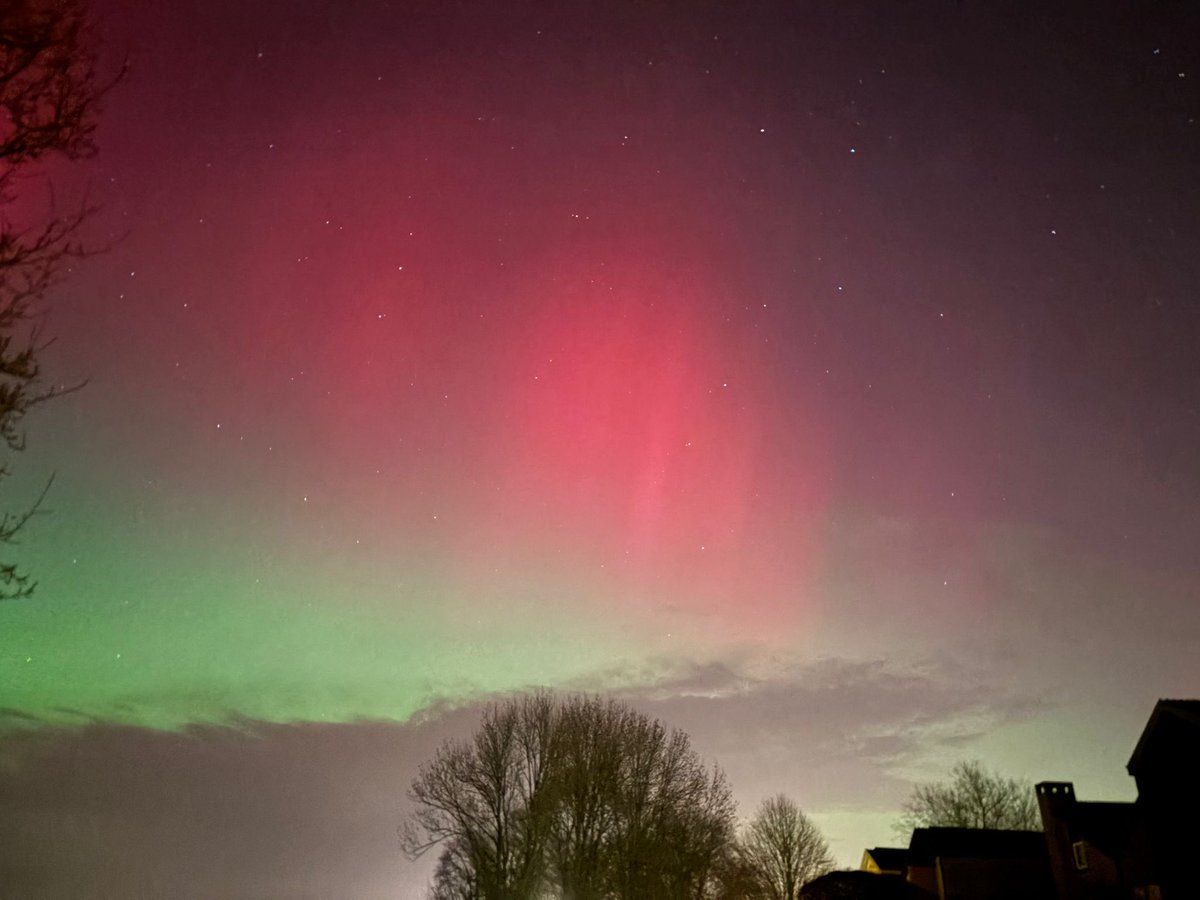 Jacoline Kelly tweet media