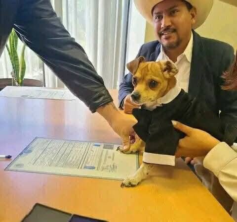 DiloConPerritos's tweet image. Testigo de nuestro amor ❤️✨