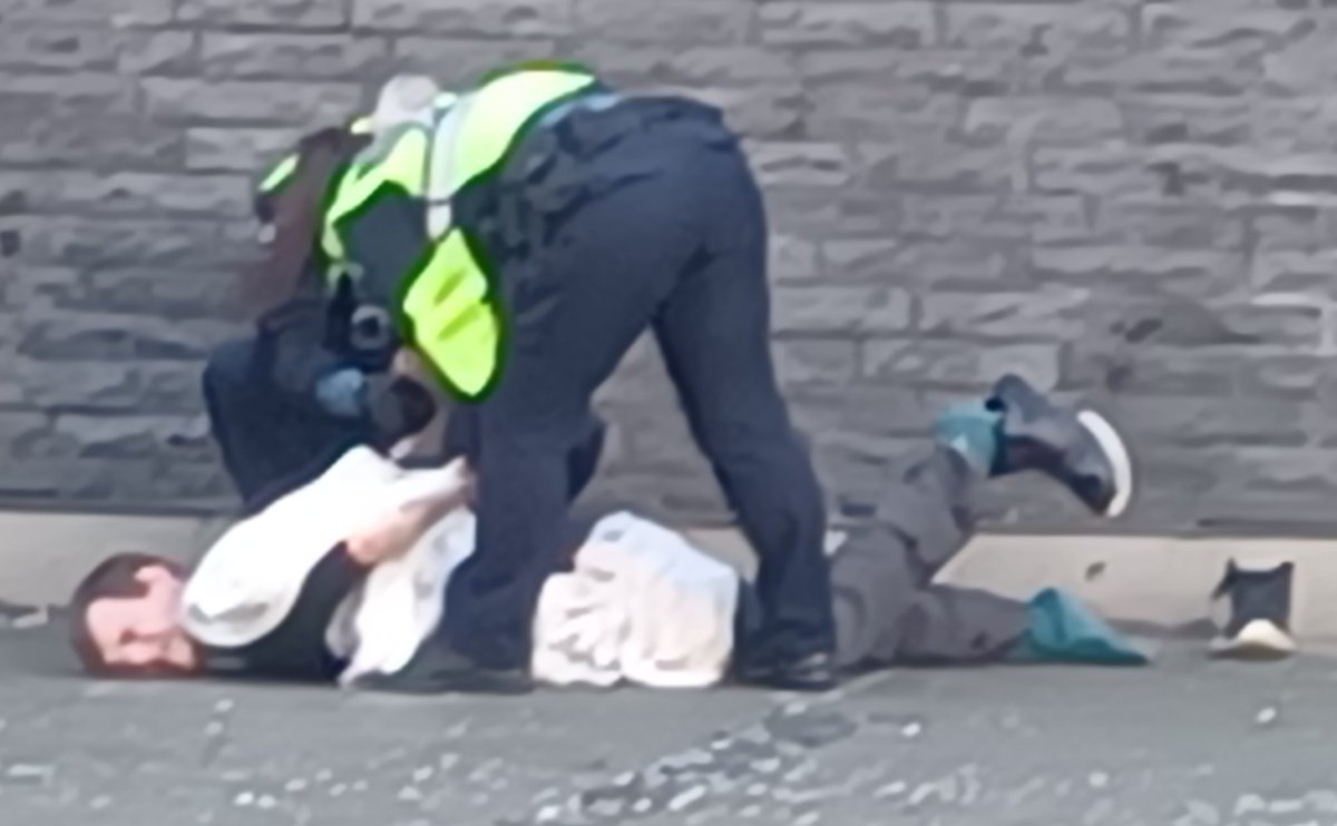 Stanley Q Woodvine tweet media