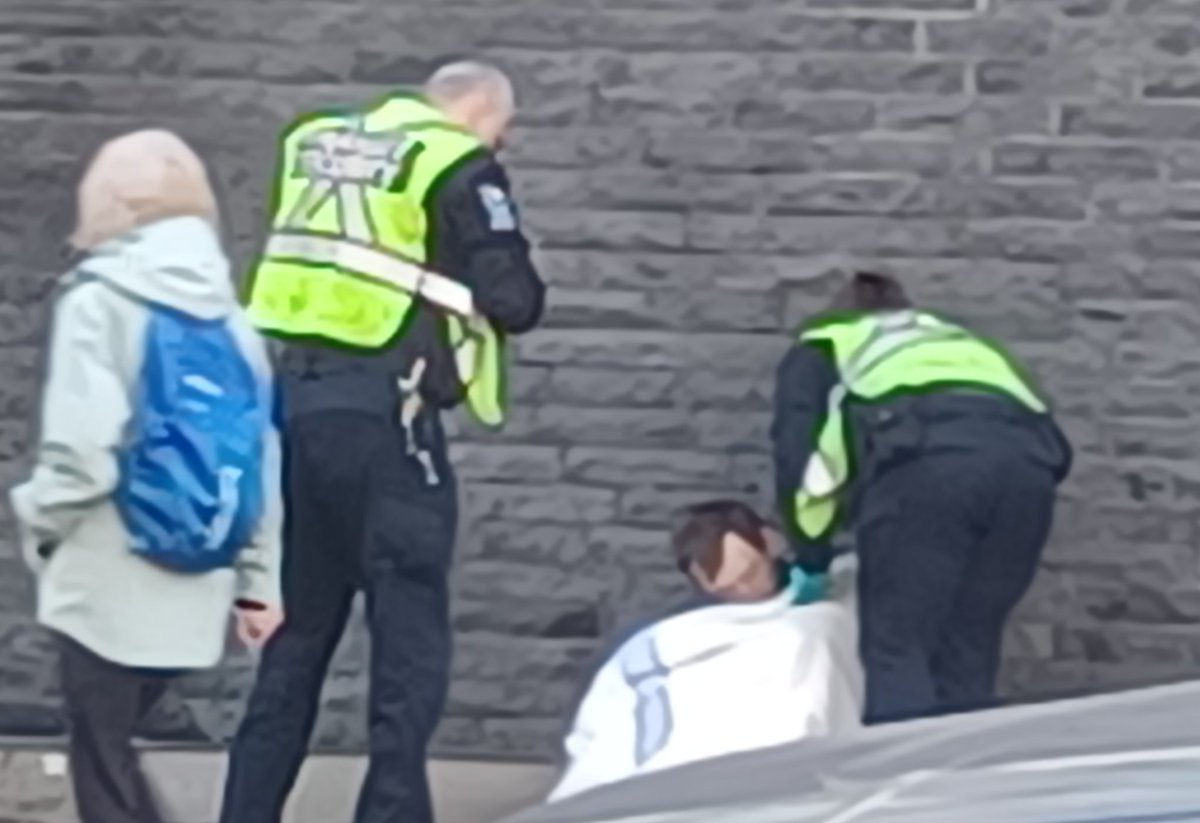 Stanley Q Woodvine tweet media