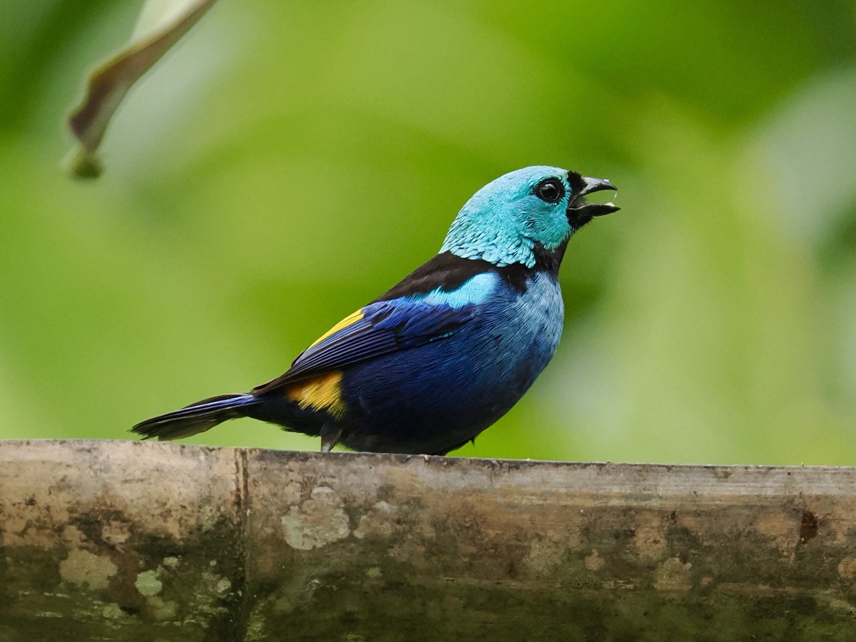 Rob Rackliffe tweet media