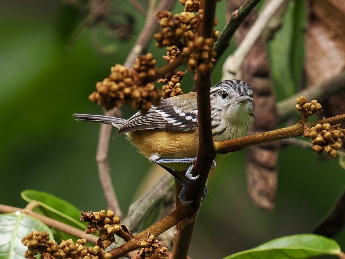 Rob Rackliffe tweet media