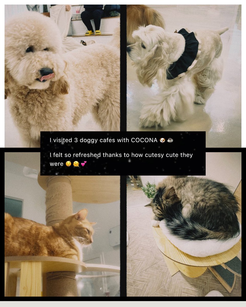 cocorialoops's tweet image. 20230310 JURIA blog update 💌