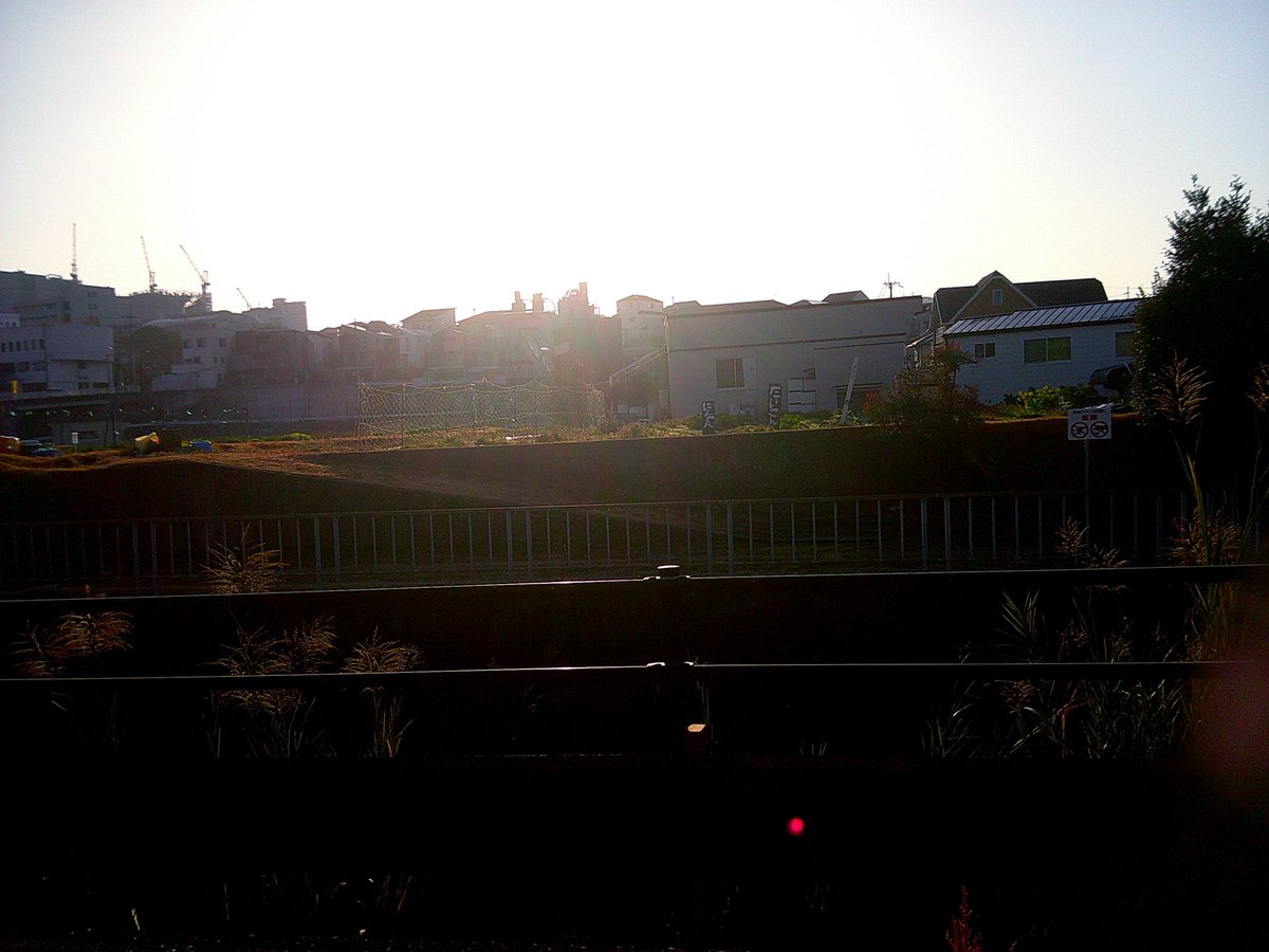 luiarlu's tweet image. camp snapの色味、良い感じに調整できてきた❗️

#風景写真