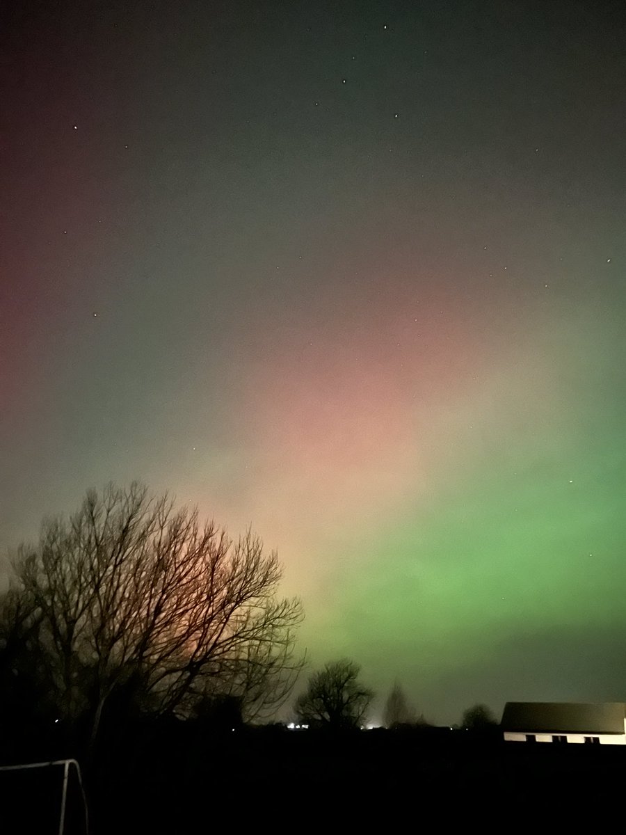 Emma Dillon-Leetch tweet media