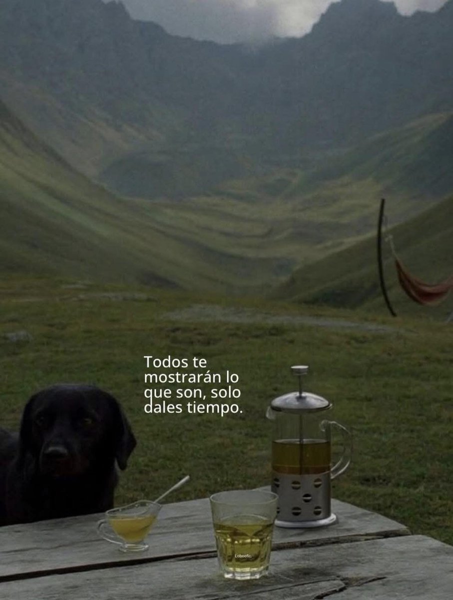 BANDIDOS (@bandidosfrasess) on Twitter photo 