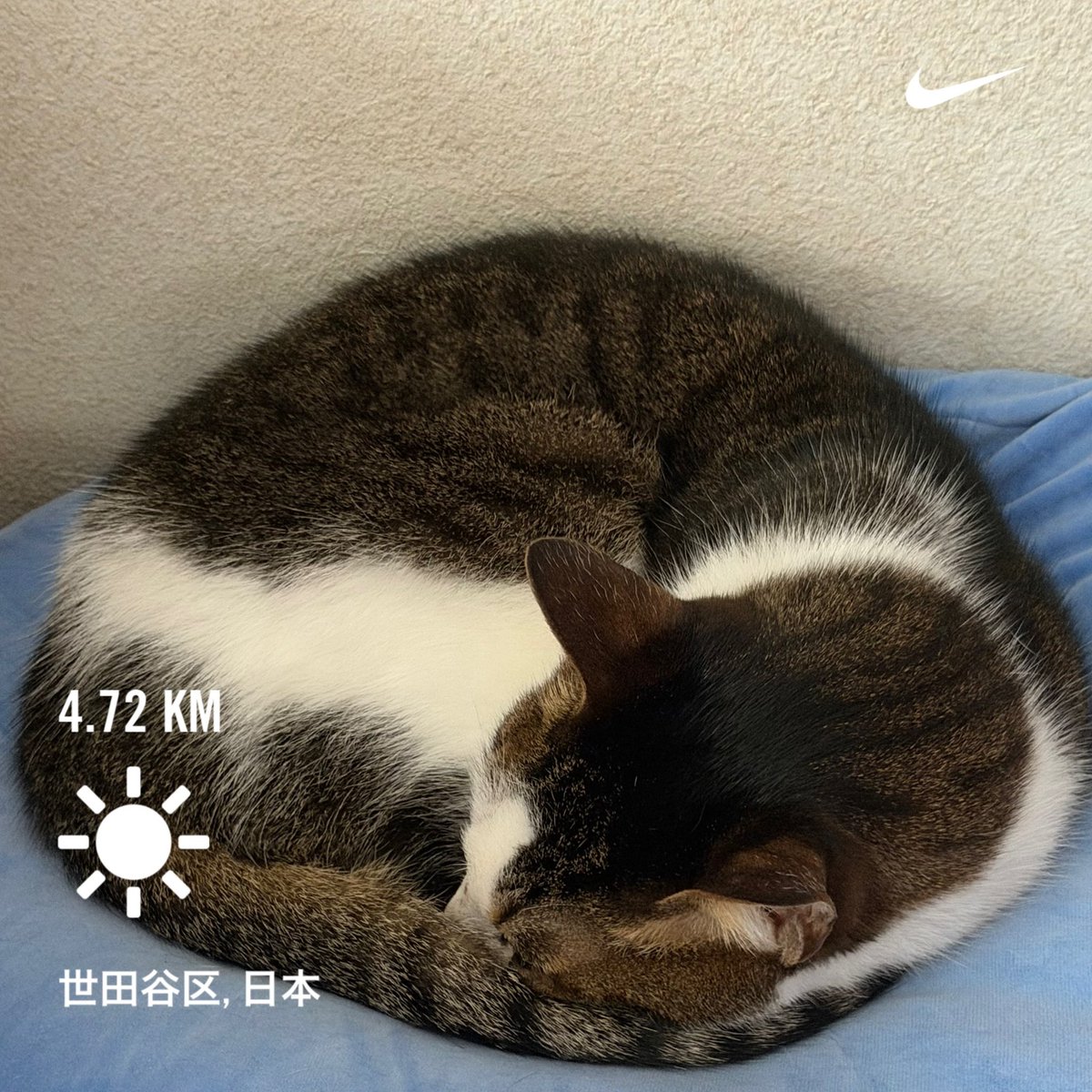 2026/01/17

今日のお題は「ジョグ30分＋ 流し2本（r=1分 jog）」

余裕で走っていると思って結果を見たら心拍数が結構高い。

睡眠時間大事だなぁ。

明日はBUの日なので睡眠時間確保しないと。

Nike⁠ Run Club アプリで 4.72 kｍを走りました

#ランニング
#GARMIN