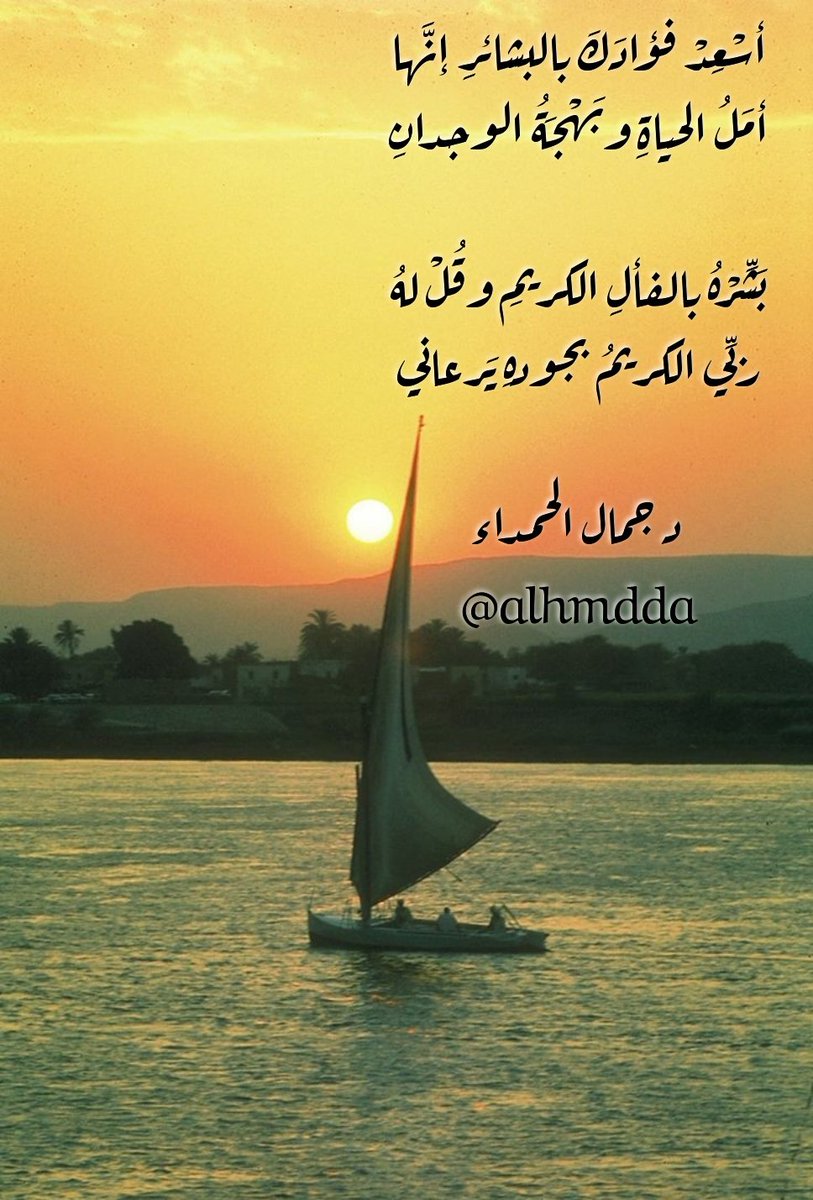 د.جمال الحمداء tweet media