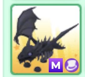 Sadcatluck🐱🍀 tweet media