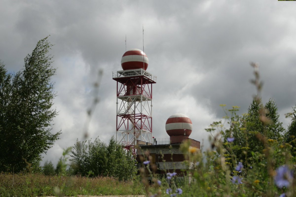 elvisvista tweet media