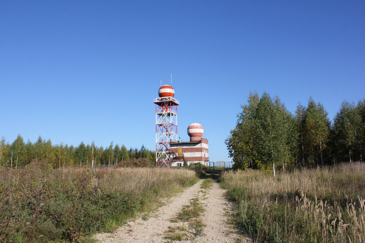 elvisvista tweet media