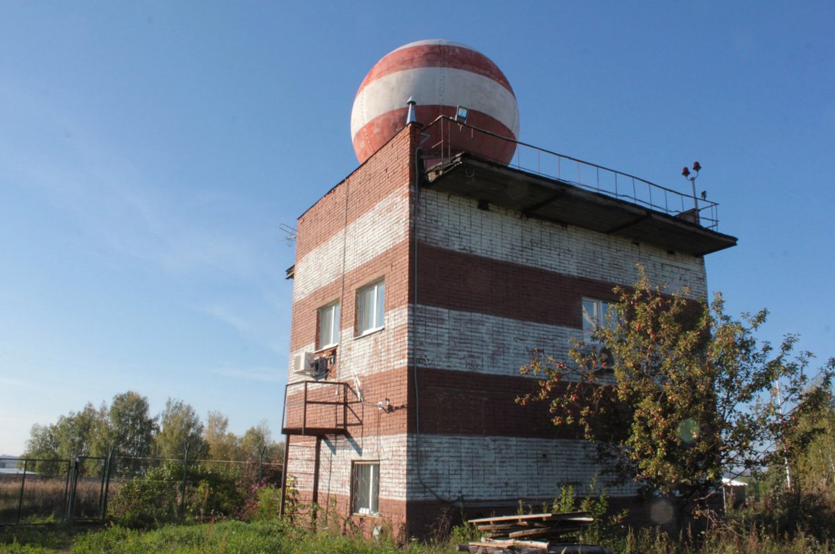 elvisvista tweet media