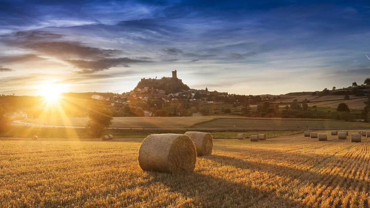 Histoire de France tweet media