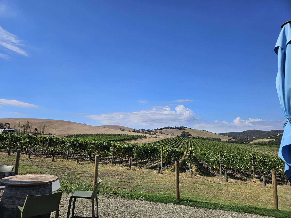Sunhats and Chardonnay tweet media
