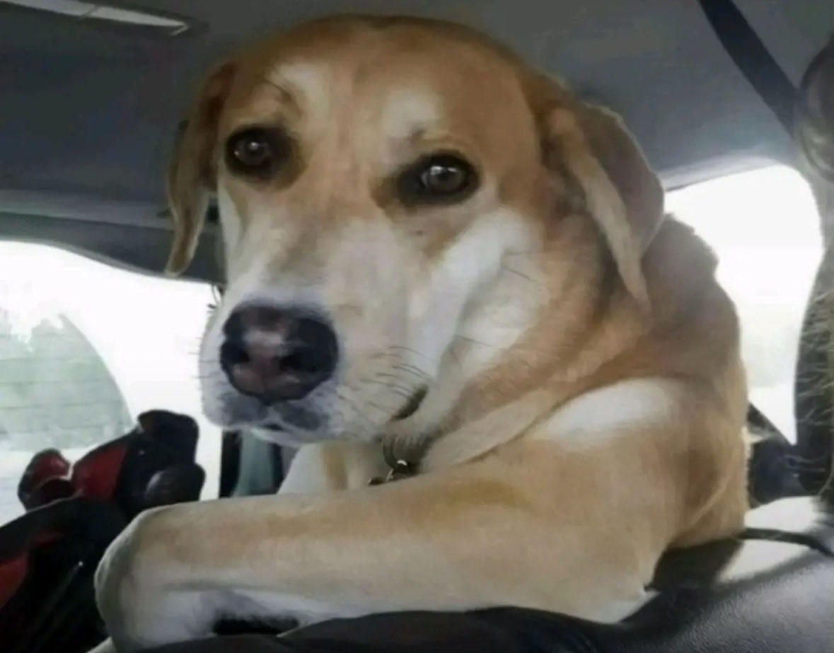 sae.hype tweet media