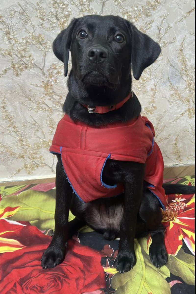 marvelzvision tweet media