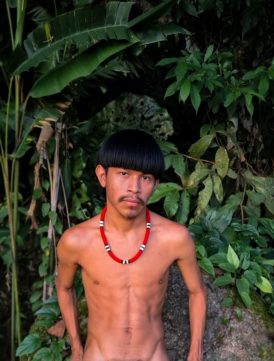 Oy paor iter tweet media