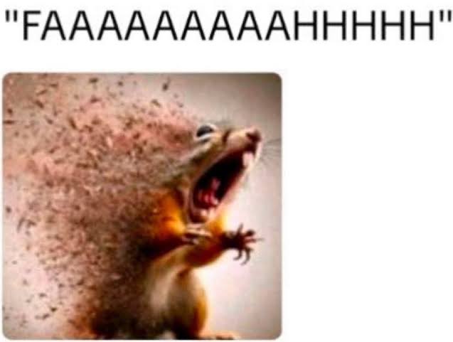 sae.hype tweet media