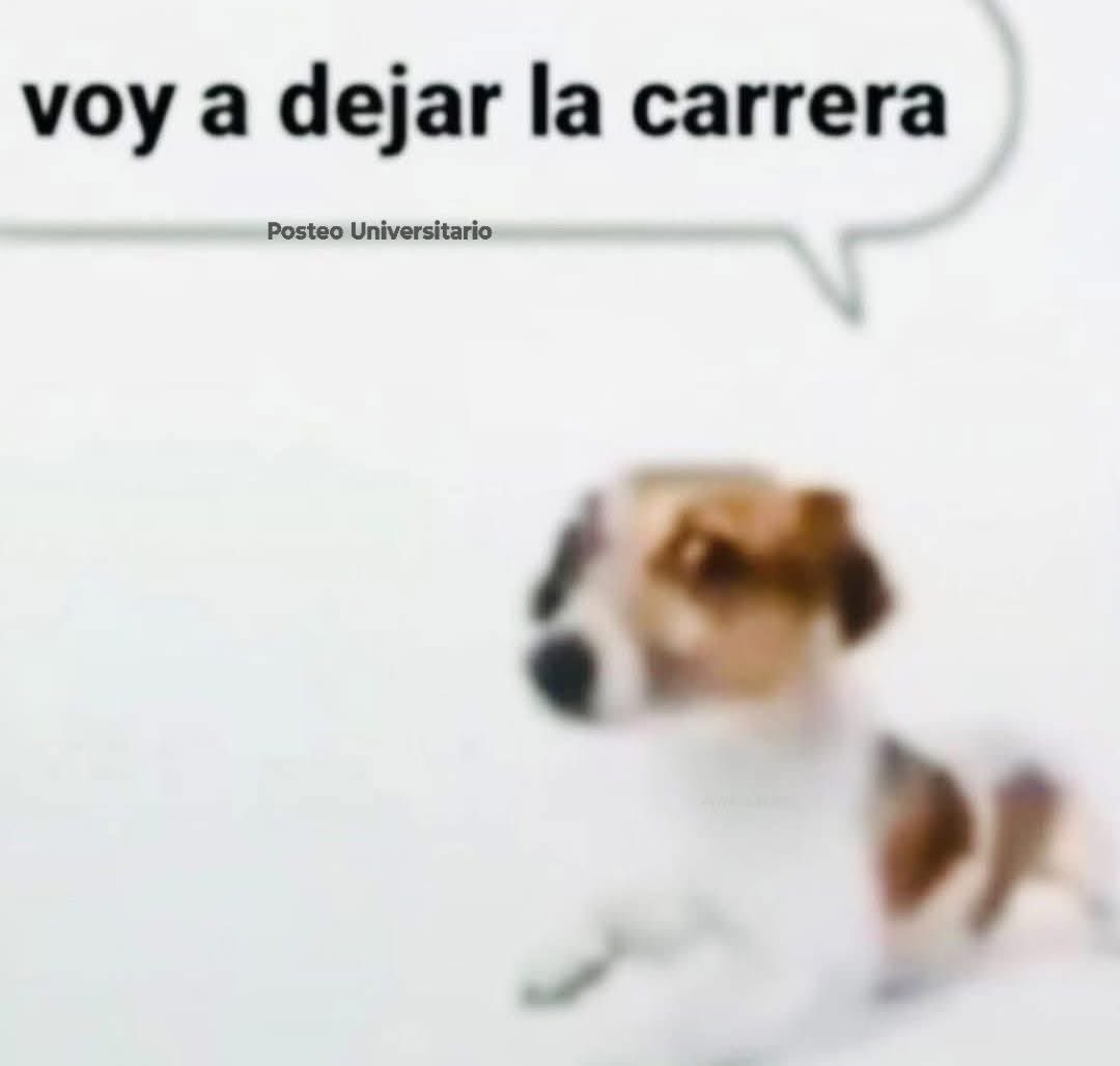 memefeos's tweet image. Yo de la nada: