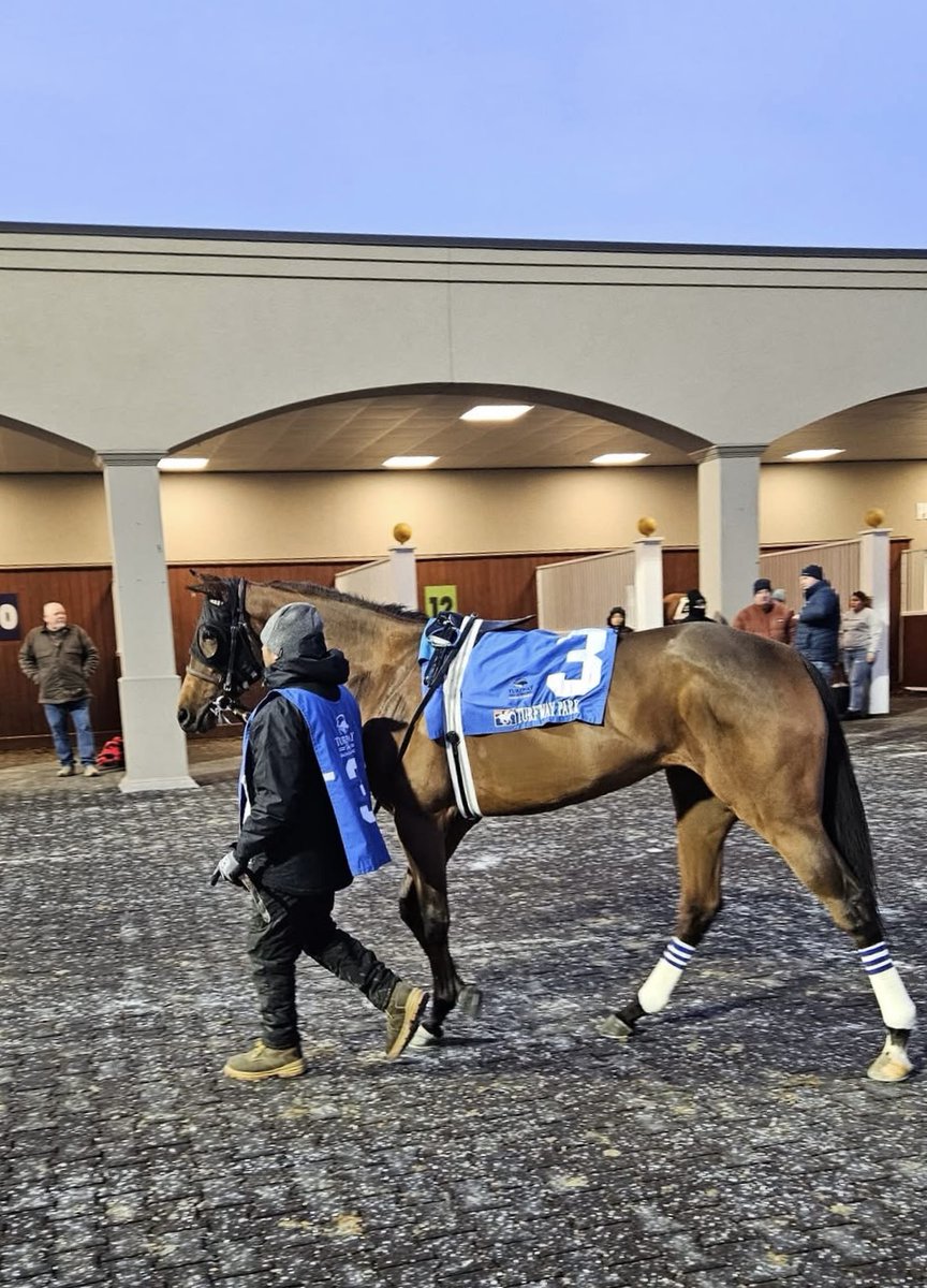 A fun maiden win this weekend with Bend My Ear 👏
Congrats to Storyteller &amp; Open Gate Racing.

Open Gate is new to racing, and in just 11 starts since getting started, they’ve finished in the money 7 times.
That’s a 63% ITM rate!

Beginner’s luck… or a really good program? 😉