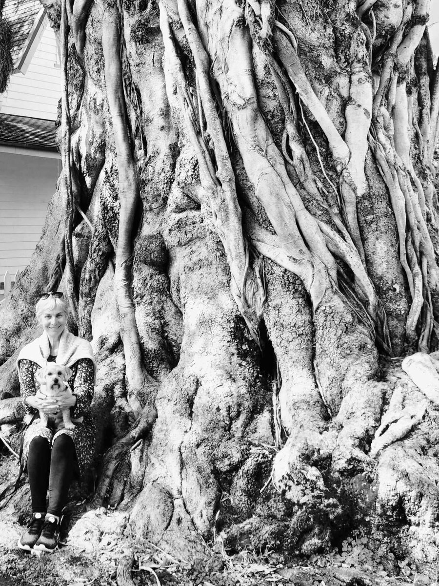 HopeRising19's tweet image. AT WHAT POINT DOES THE ABUSE END AND THE APOLOGIES BEGIN?   

In the past five years, I have been personally abused in writing, personal messages, emails and social media posts.  

I have been called an   ANTI VAXER and a CONSPIRACY THEORIST  

Here are just a few of the…