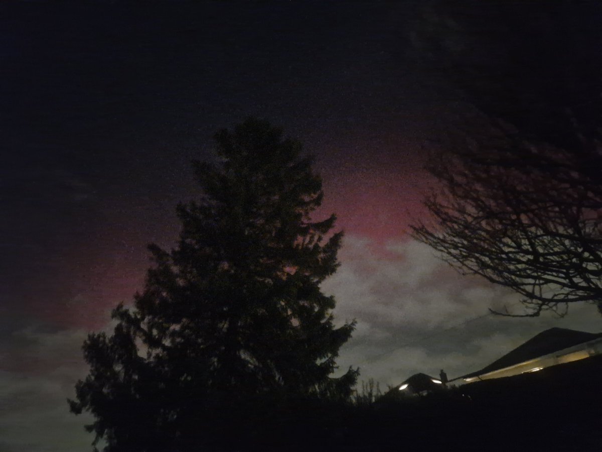 eilidh mcintosh tweet media