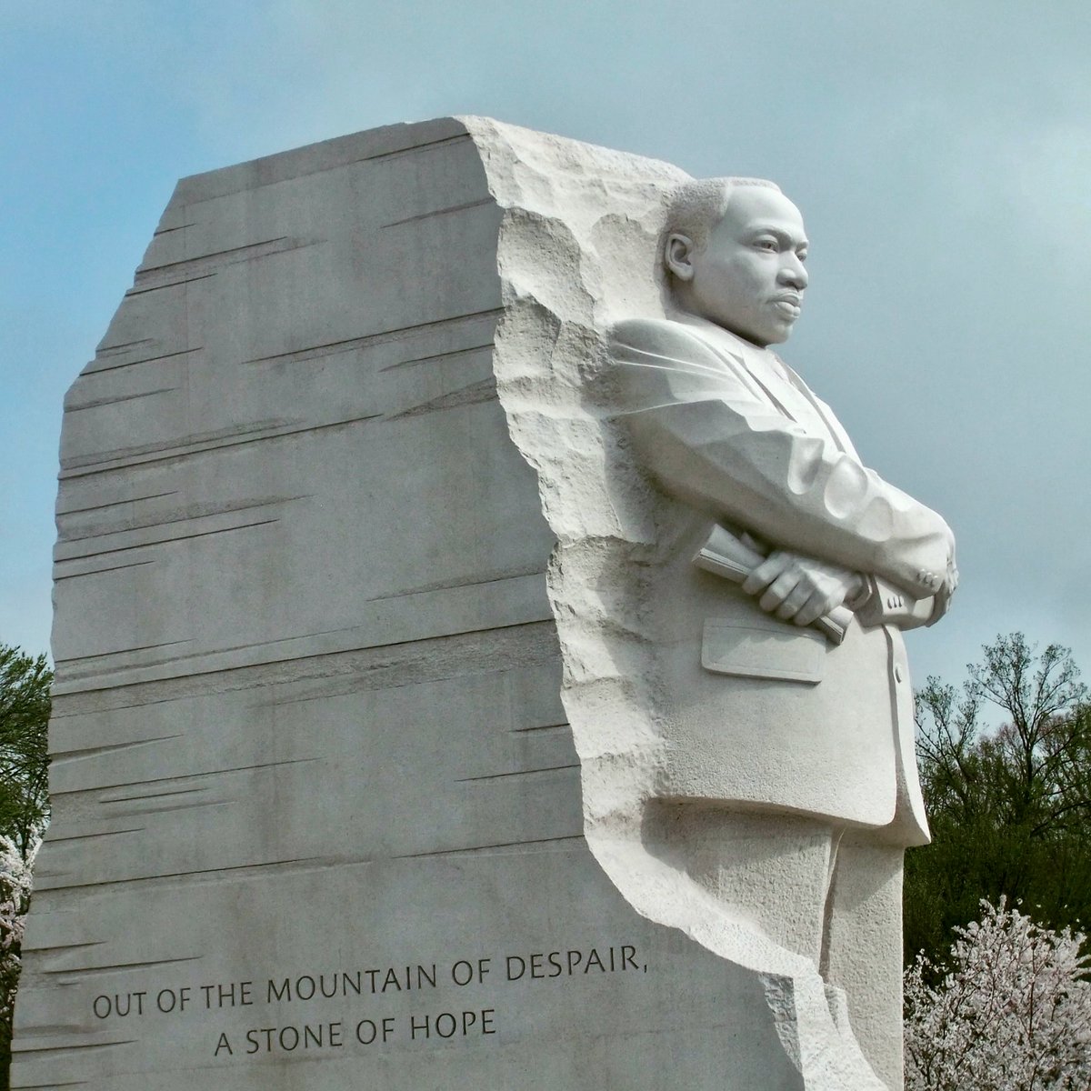 Selena Fox tweet media