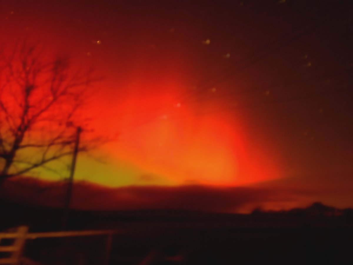 OakleyTom's tweet photo. @chunder10 Forest of Ae, Dumfries just now! https://t.co/loos8yWCUK