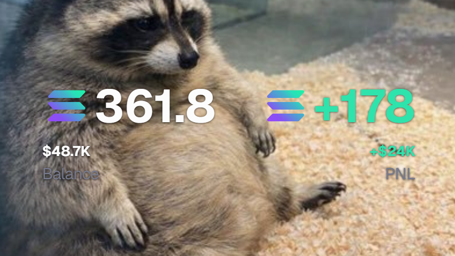 absolana tweet media