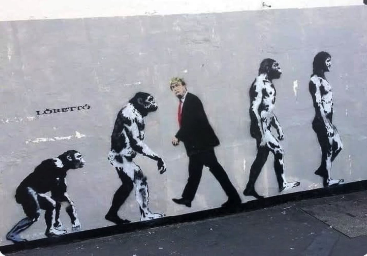 T. Jonge tweet media