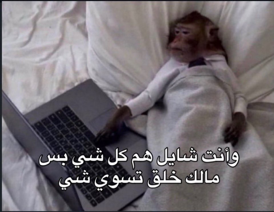 شعور (@8oiir) on Twitter photo 