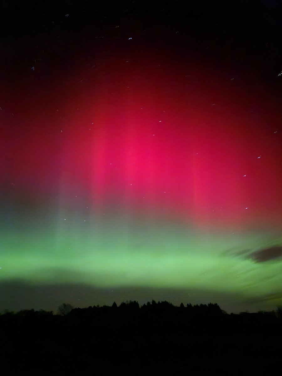 Incredible display from the back garden tonight.