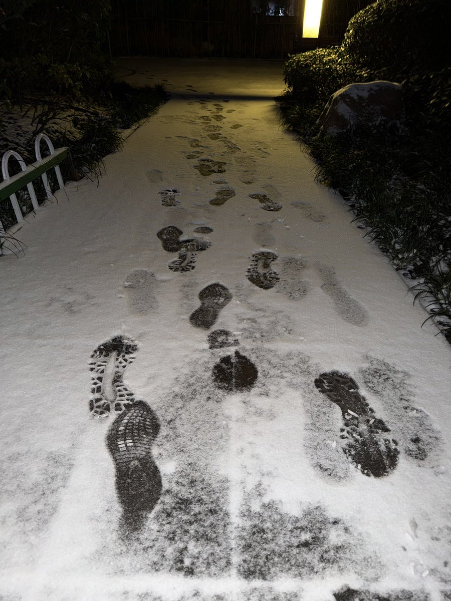 非凡牛牛 tweet media