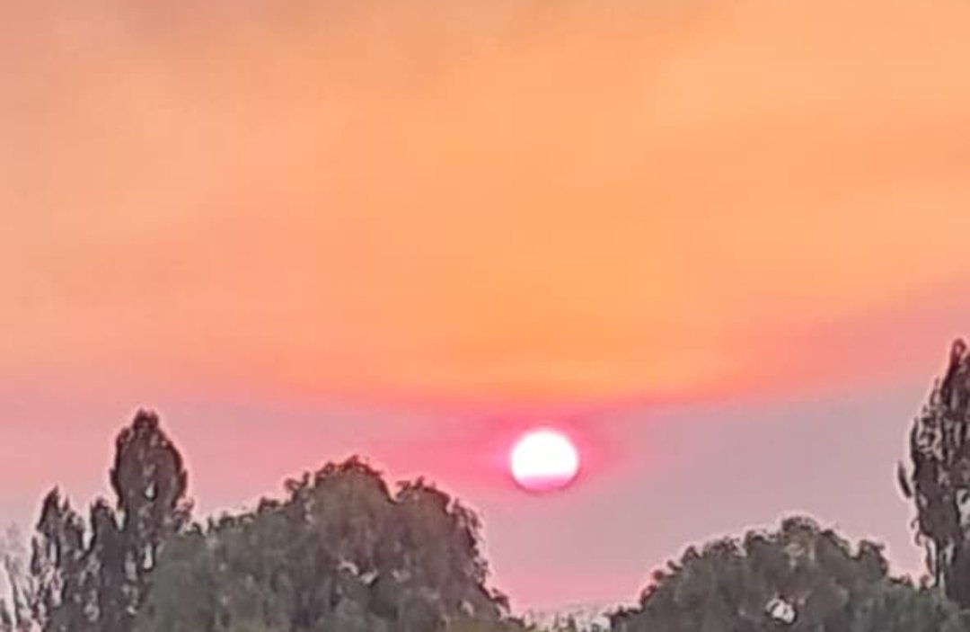 #Boric parece más un relacionador público hablador que un Presidente: habla, comenta, se indigna cuando le conviene y dialoga solo cuando le sirve. En fin un personaje político inepto.