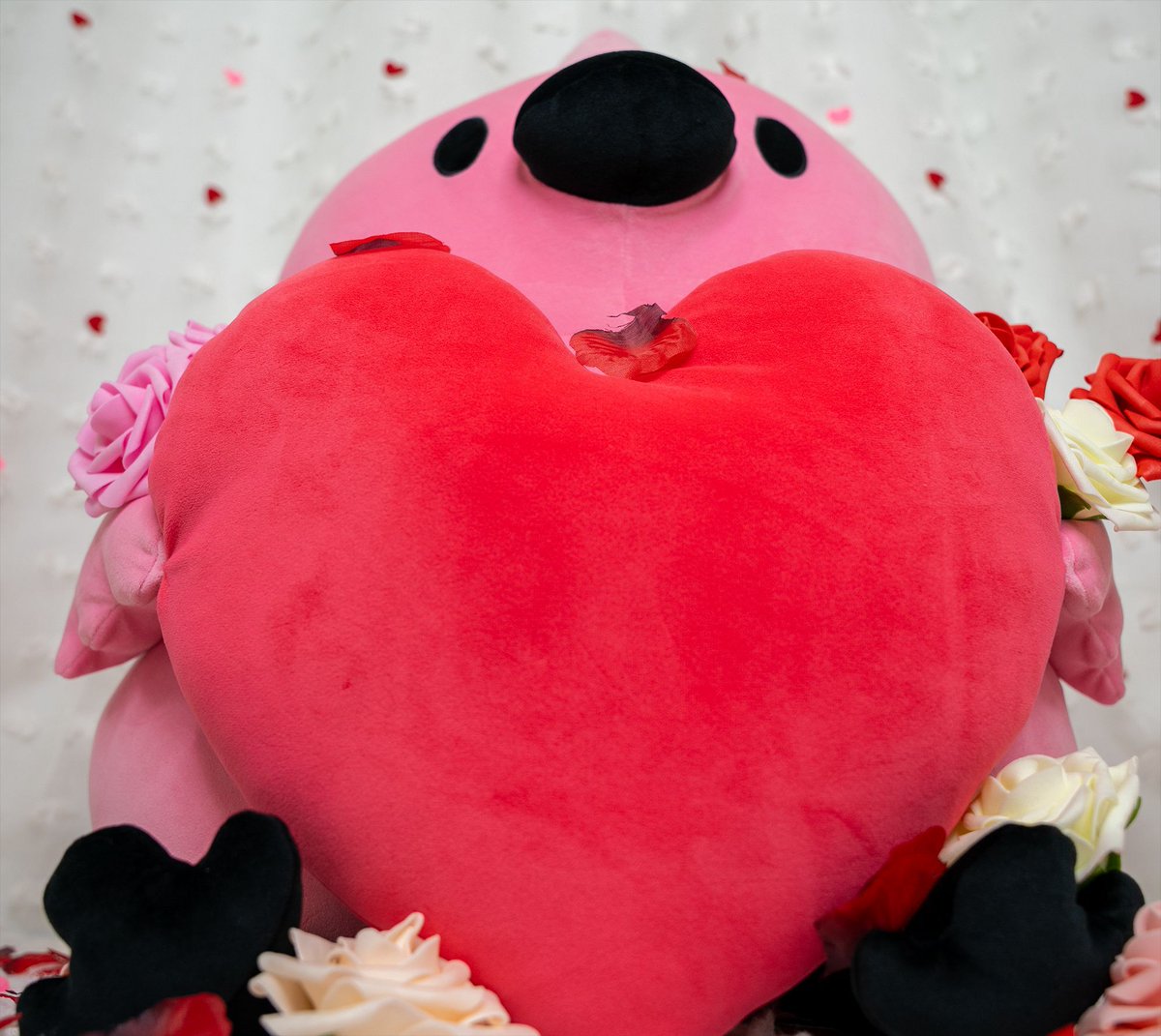 Collector's Anxiety tweet media