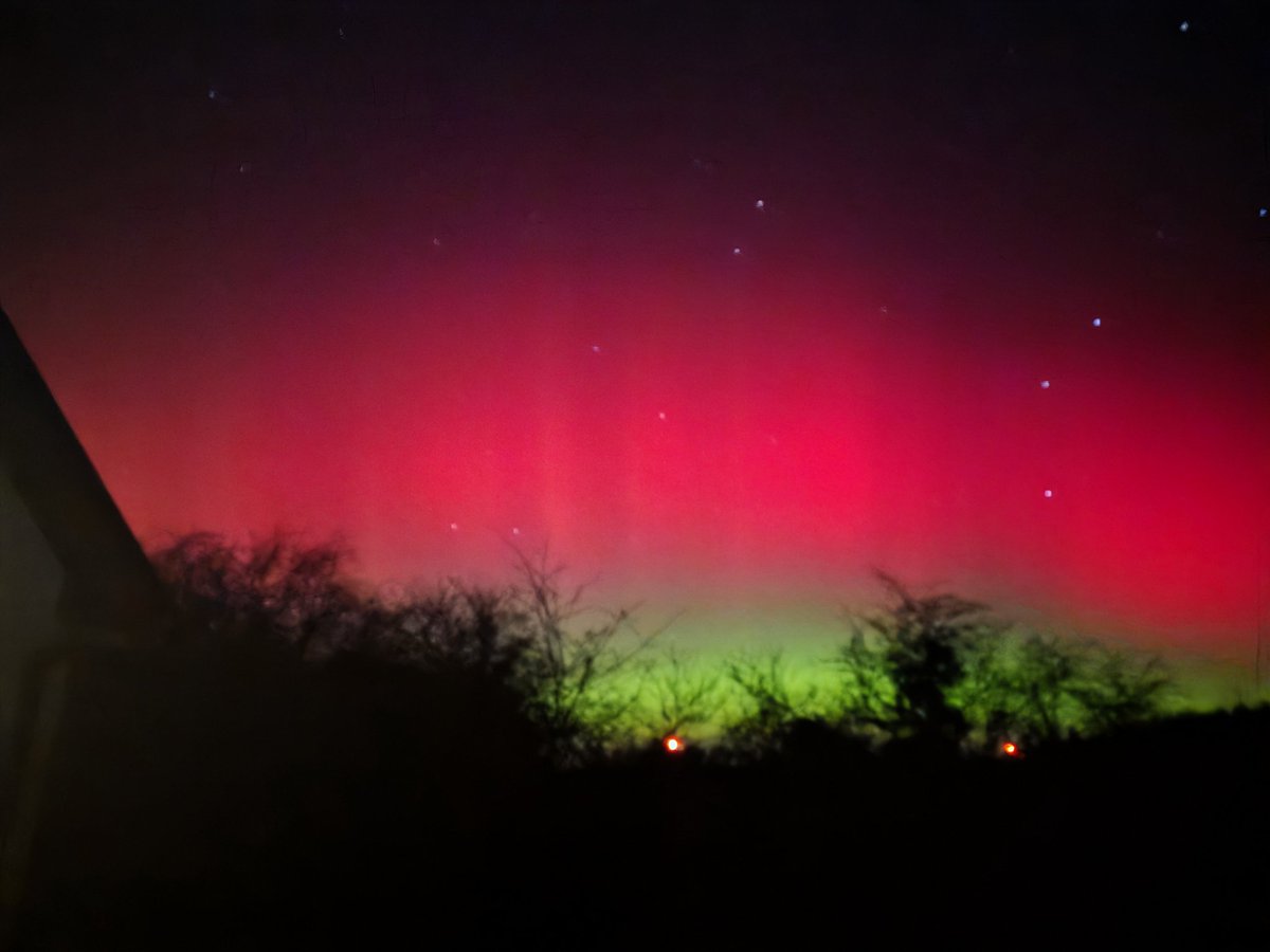 🇮🇪 Wrestling Figs Ireland 🇮🇪 tweet media